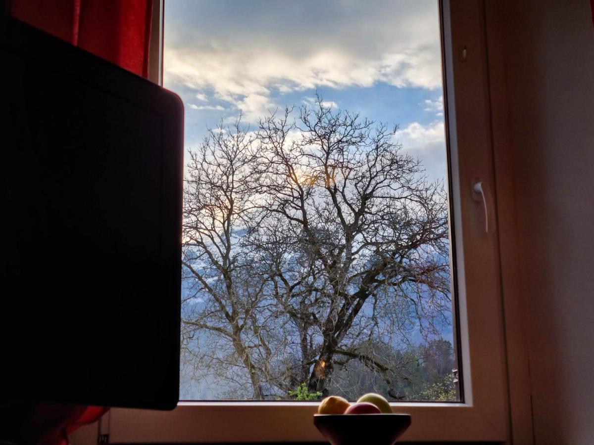 Apartmaji Jakob 1 Bovec Εξωτερικό φωτογραφία